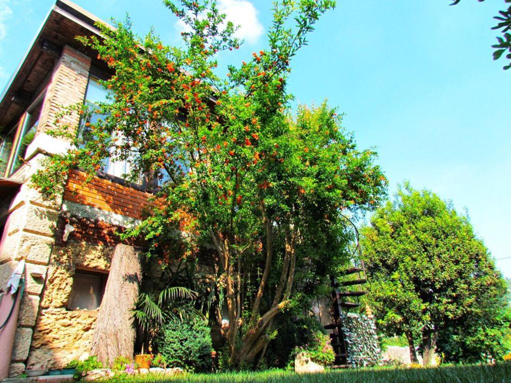 B&B La Piccionaia Verona Exterior photo